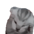 江湖 1