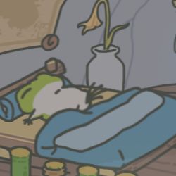 蛙它终于睡觉了!! 1