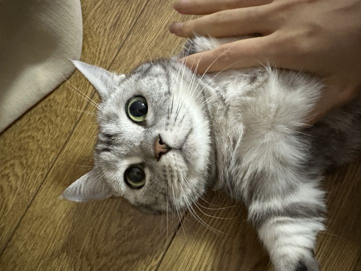 完了 忘买簪娘了截图