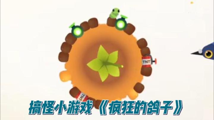 【TapTap年度游戏大赏】一只会卡点、会尬舞的鸽子截图