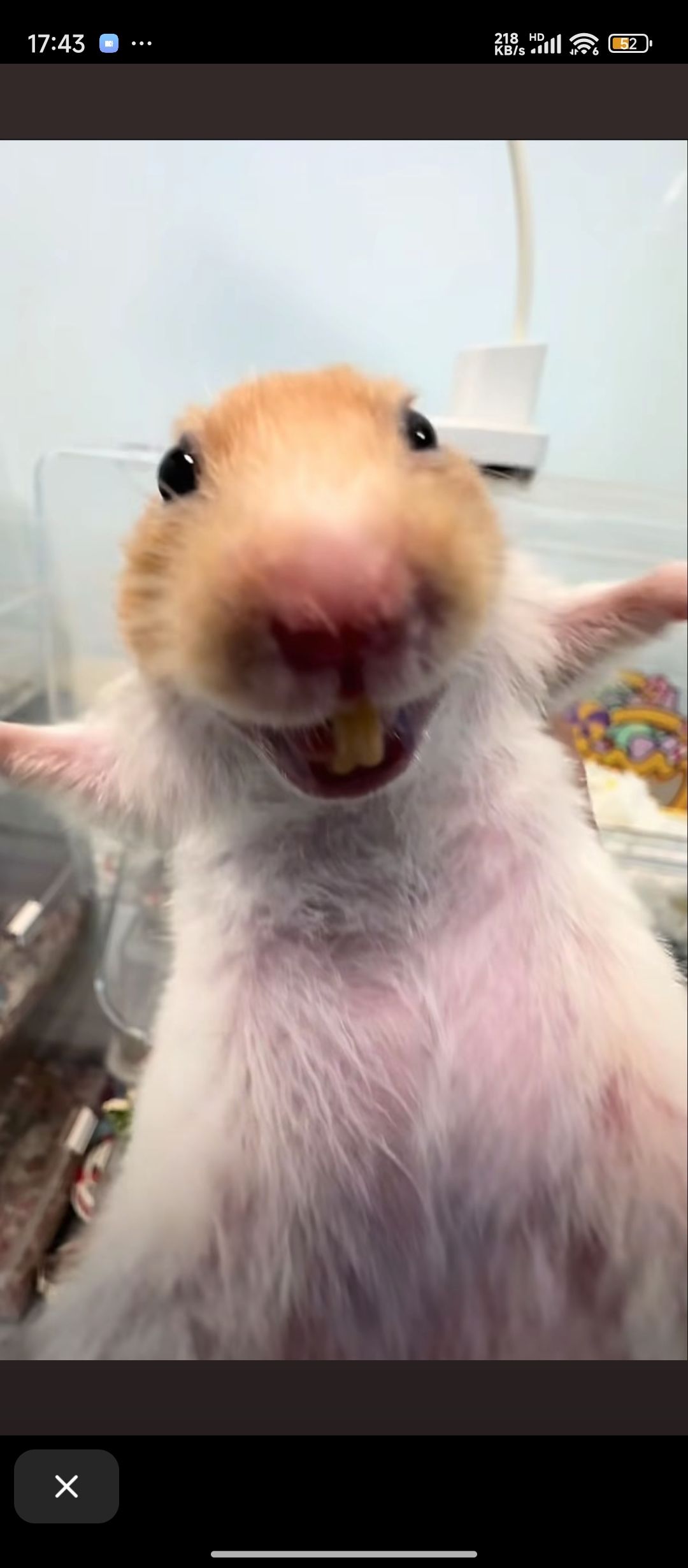 就一个十连 2