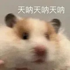 建筑概率太ne了 2