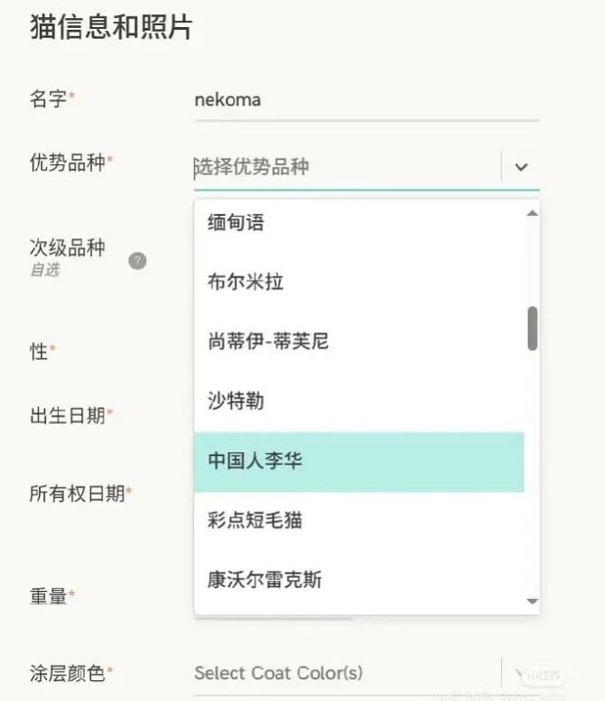 中国狸花猫的正确翻译 2