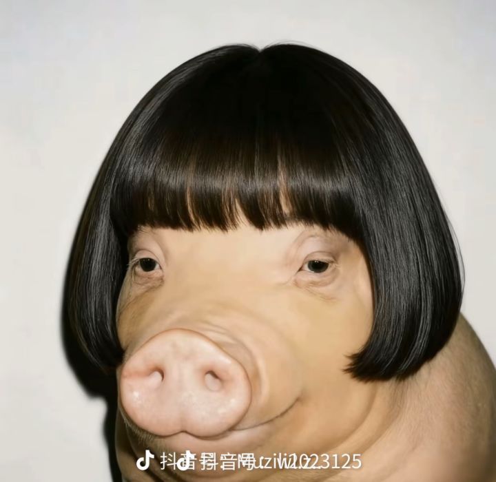 33连胜后……截图