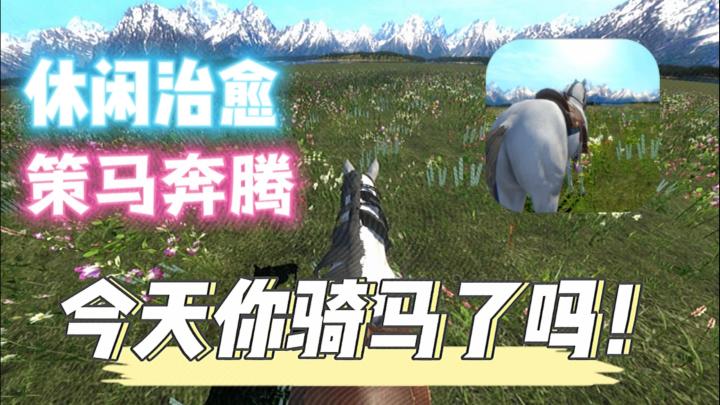 抛下烦恼，尽情奔跑👉你今天骑马了吗❗截图