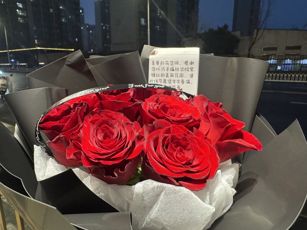 我的花园世界 2