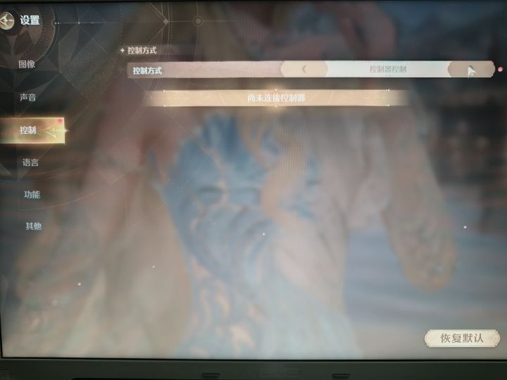 不支持其他手柄吗?截图