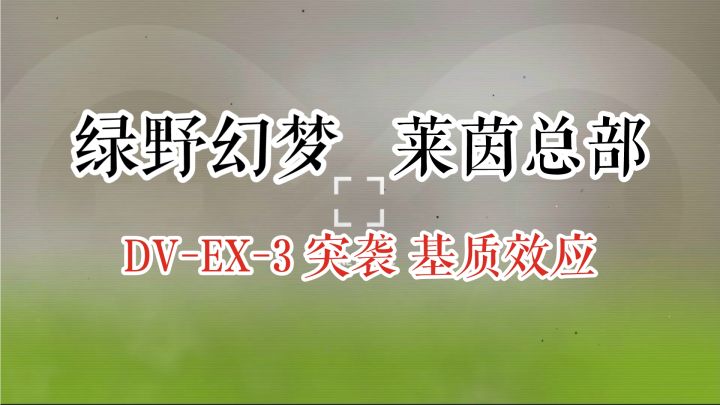 绿野幻梦 莱茵总部 DV-EX-3 突袭 基质效应截图