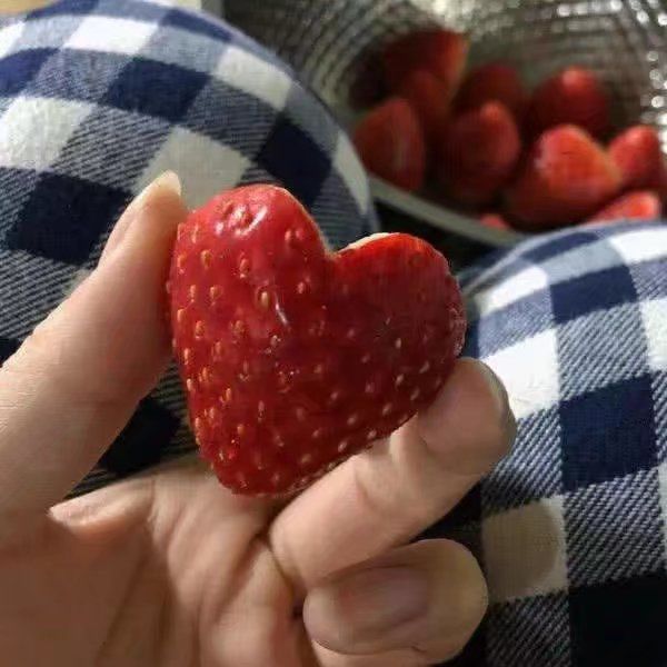 新人开荒截图