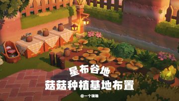 星布谷地丨菇菇种植基地🍄