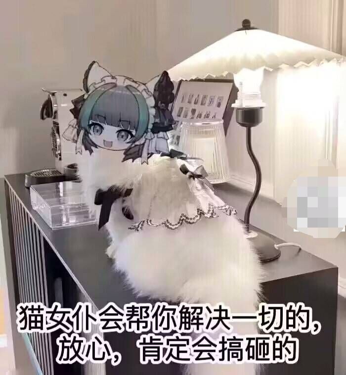 真的会被柴郡笑死的 2