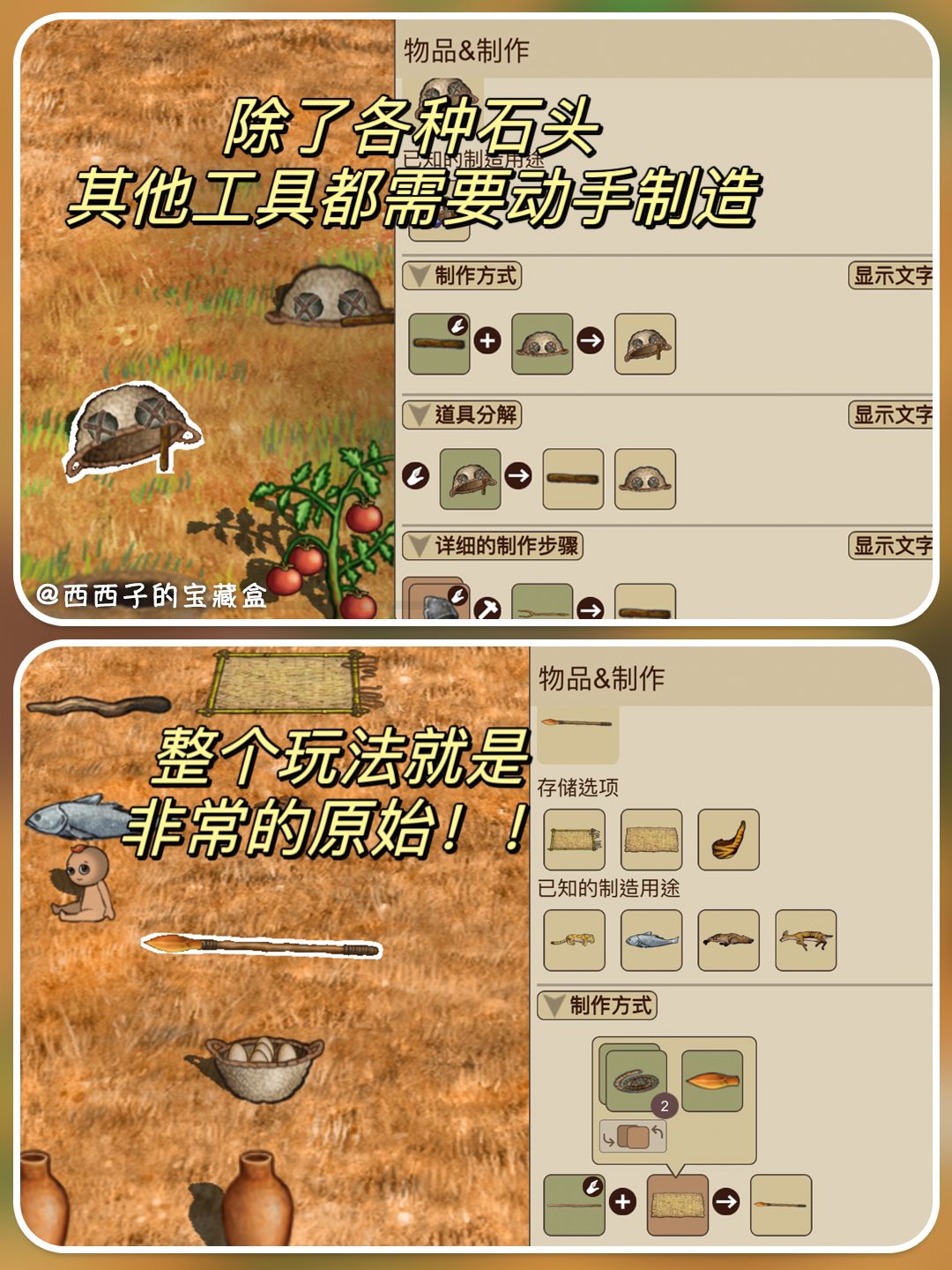 出生就是玩家的宝宝?这游戏不要太离谱啊 9