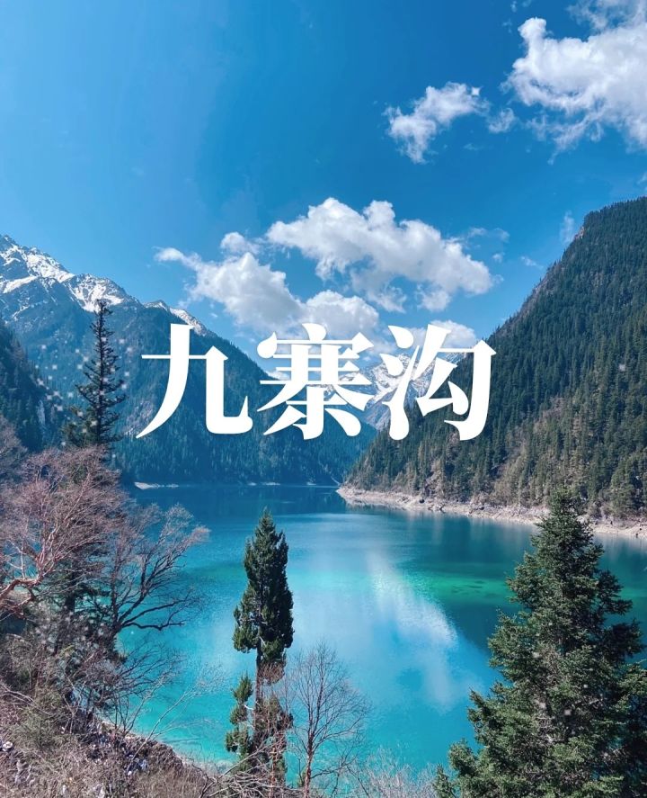 第四天截图