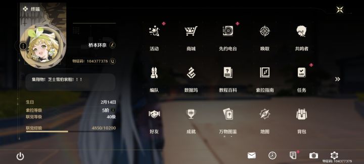 卡卡罗声骸分享截图