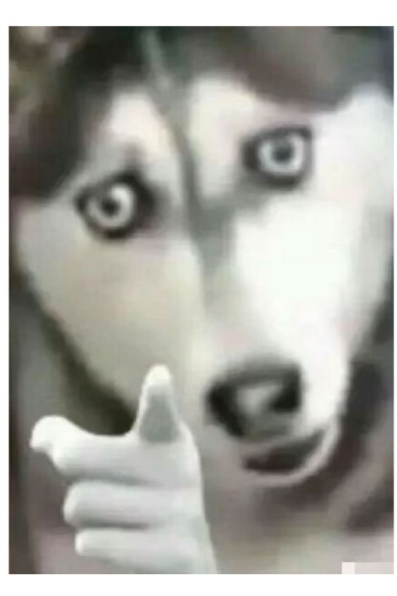 嘉贝莉娜的屁帘真是丑哭了。屁帘能不能删了截图