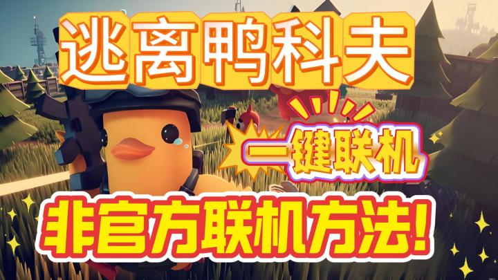 【非官方】逃离鸭科夫游戏第三方联机方法截图