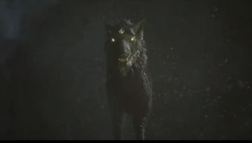 【角色评测】机械飞升，赛博真君—雷德