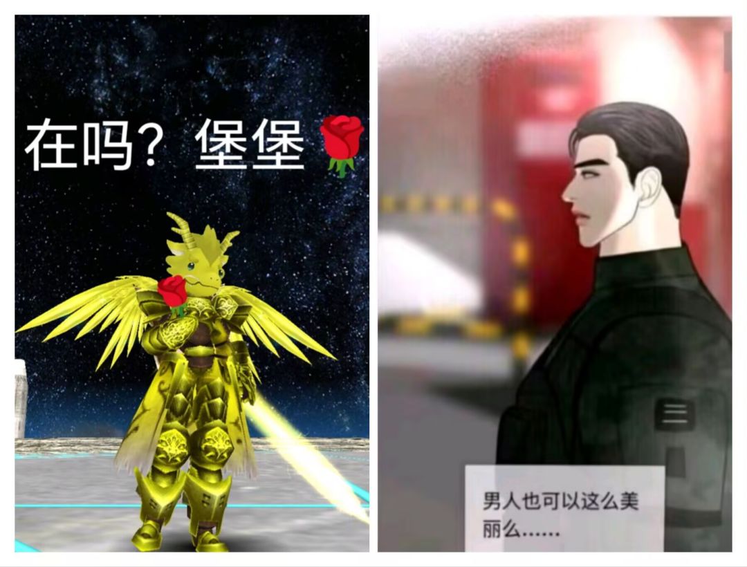 品图鉴赏截图