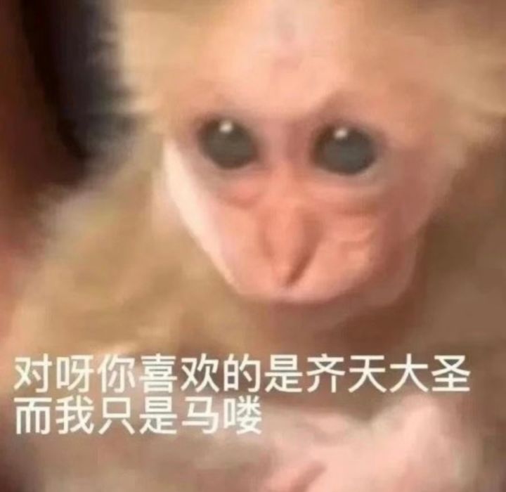 让我看看谁还没有抽到宫!雨!莲!截图