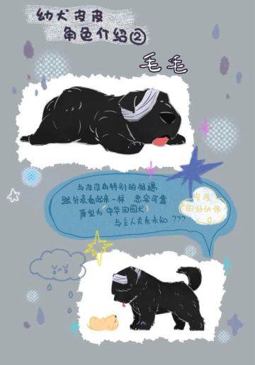 大黑有名字了！叫毛毛