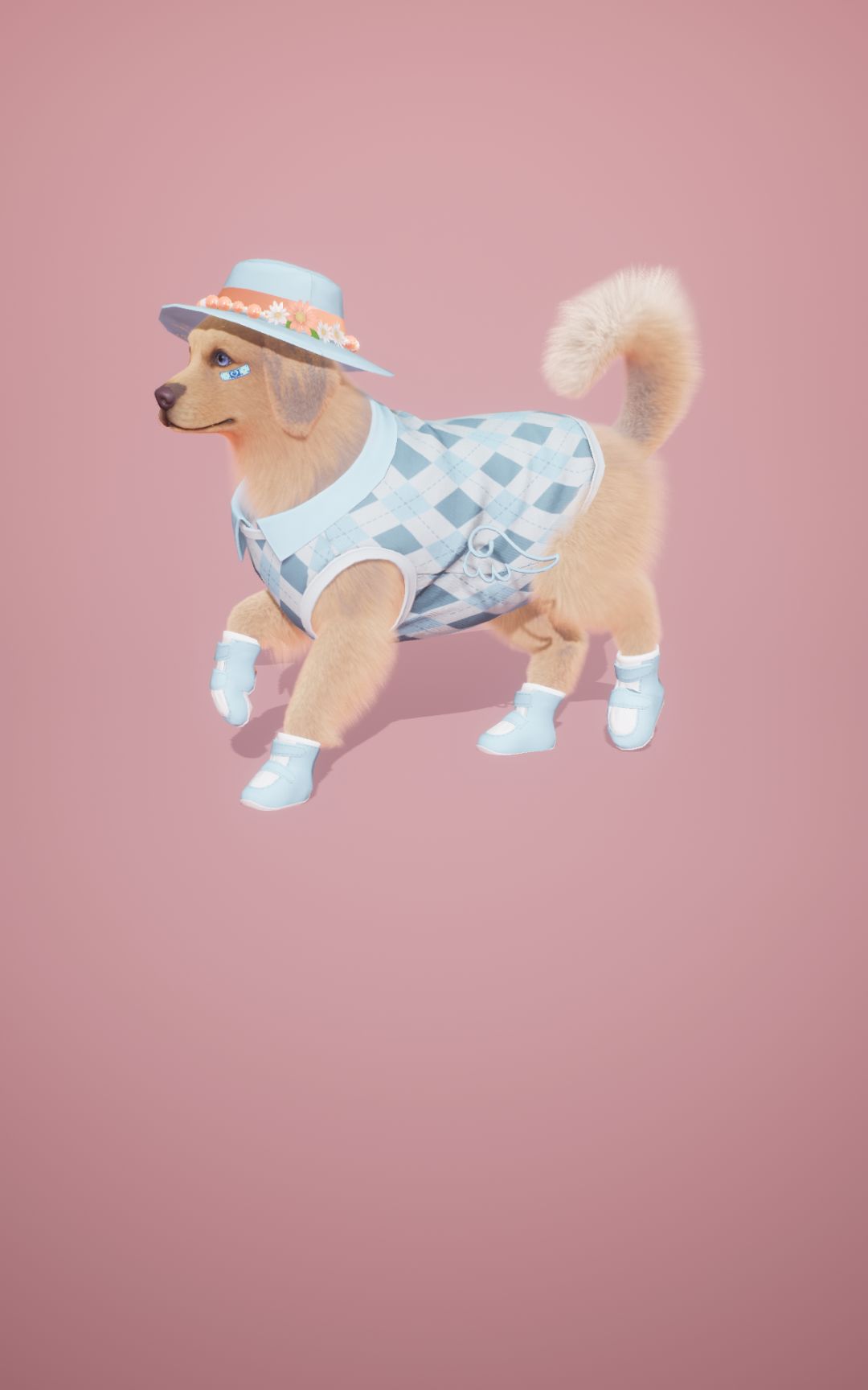 穿上新衣服啦 2