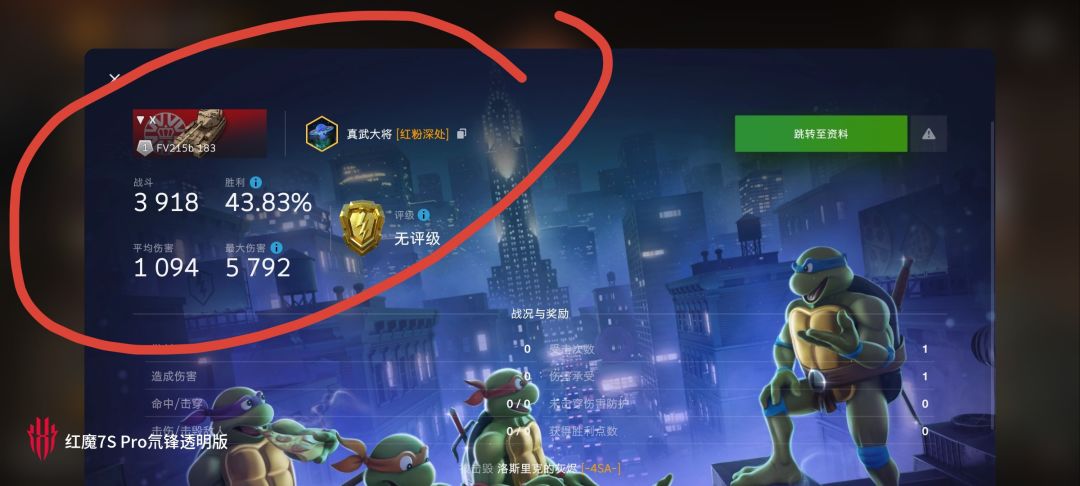 动态图片 10