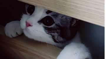 今日份快乐与你分享（抽奖）