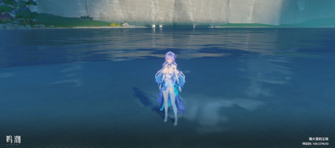 居然能站在水里 1