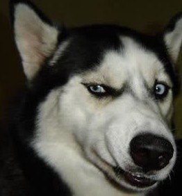 来自阿富汗矿工的挖矿指南V1.0