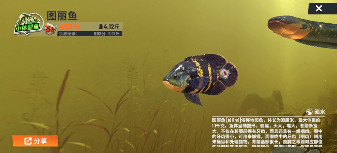 动态图片 2