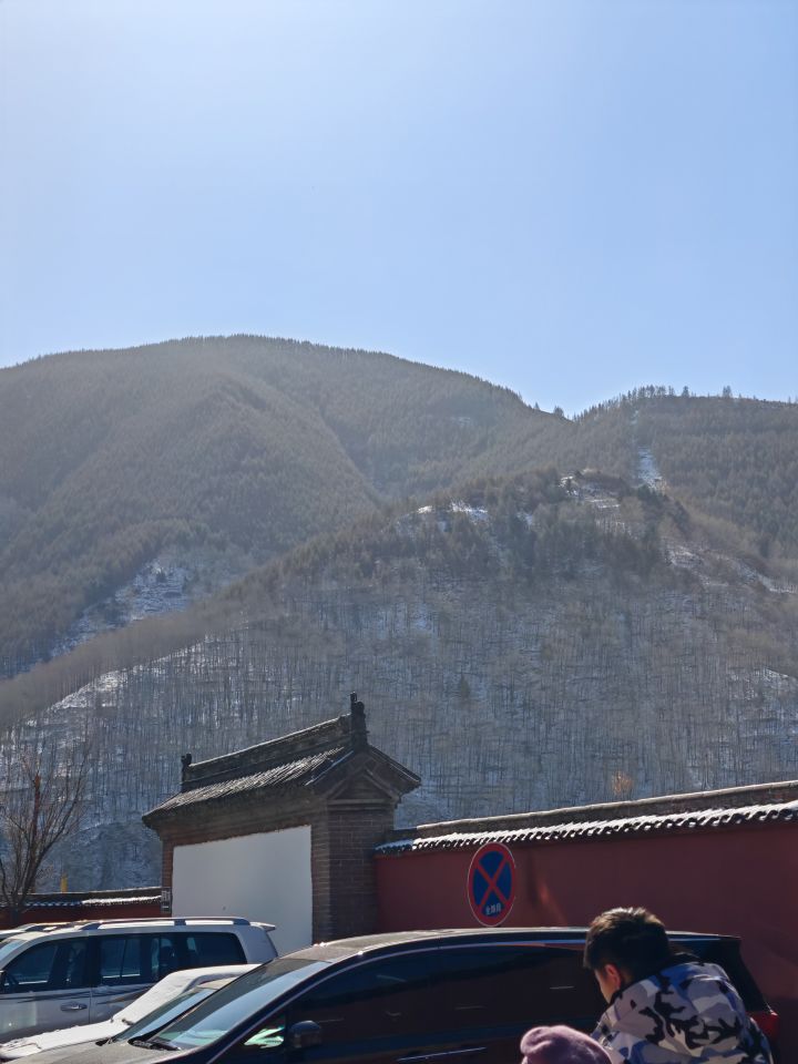 端午分享第三期截图