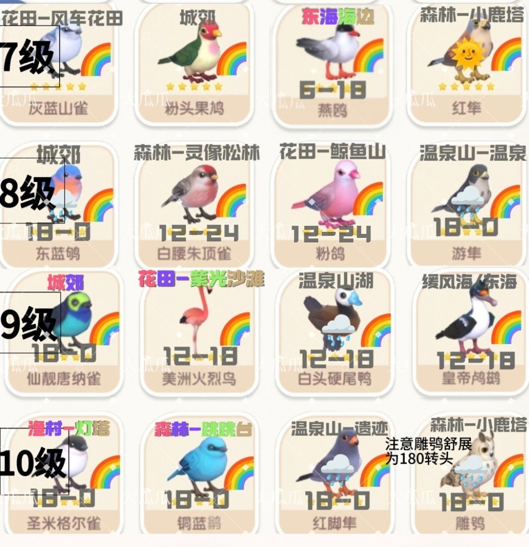 1-12级观鸟最新最准攻略合集 3