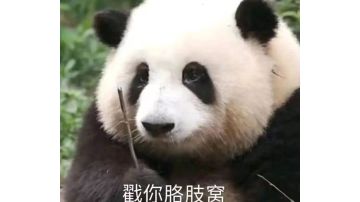 给重建家园萌新一些小建议