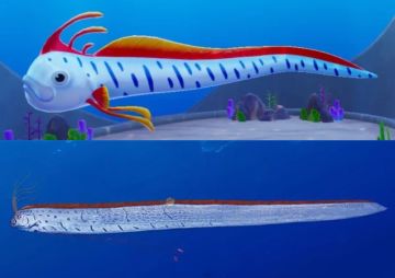 【科普】谁说农场抽象？和渔场里的大咖比，咱是写实派！