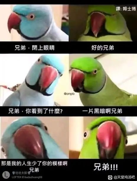 稍微有点惆怅截图