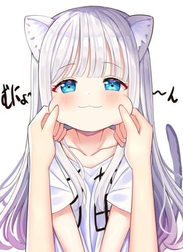 鸣潮同人小说章节3（中）