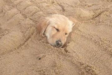 ……同学们……讲点道理好不好……欲哭无泪