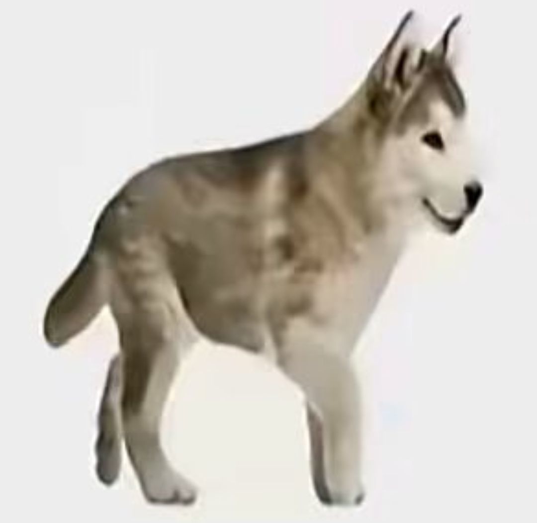 分享传承码 1
