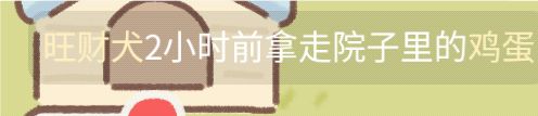 动态图片 1