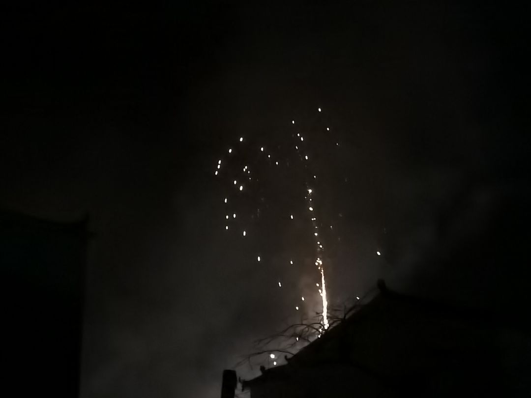 今天晚上看了烟花 5