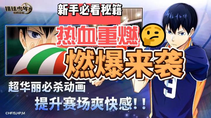 动漫神作再现!《排球少年:新的征程》带你重温热血瞬间!截图