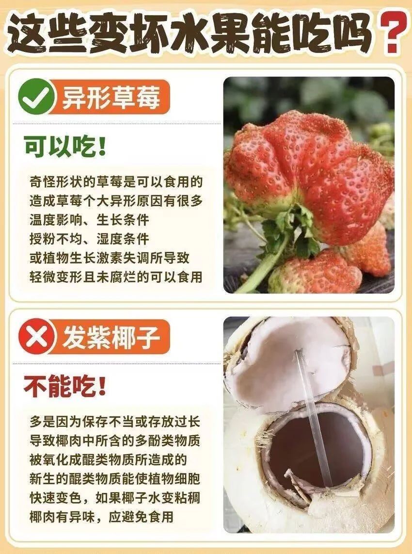 🌟青年大学习|辨别坏水果🌟 2