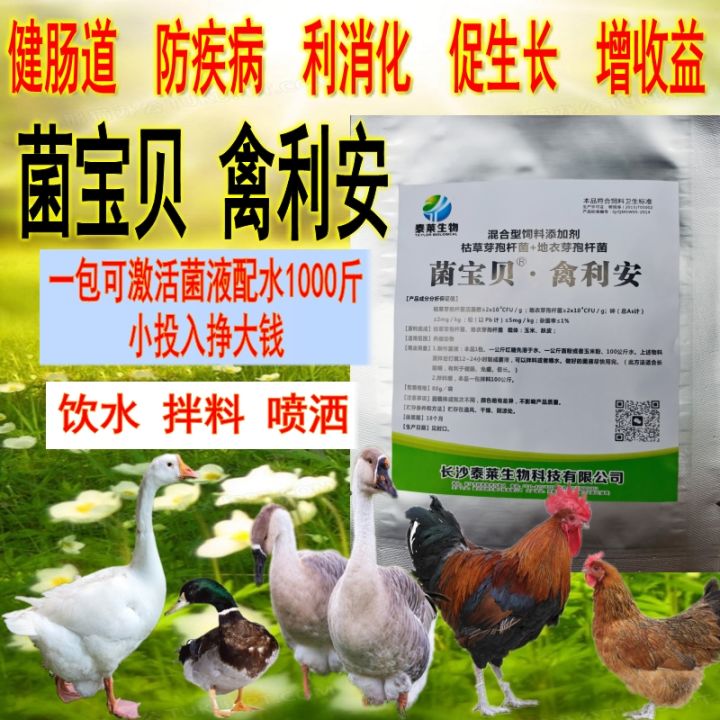 养鸡为什么要用益生菌,有什么好处?截图