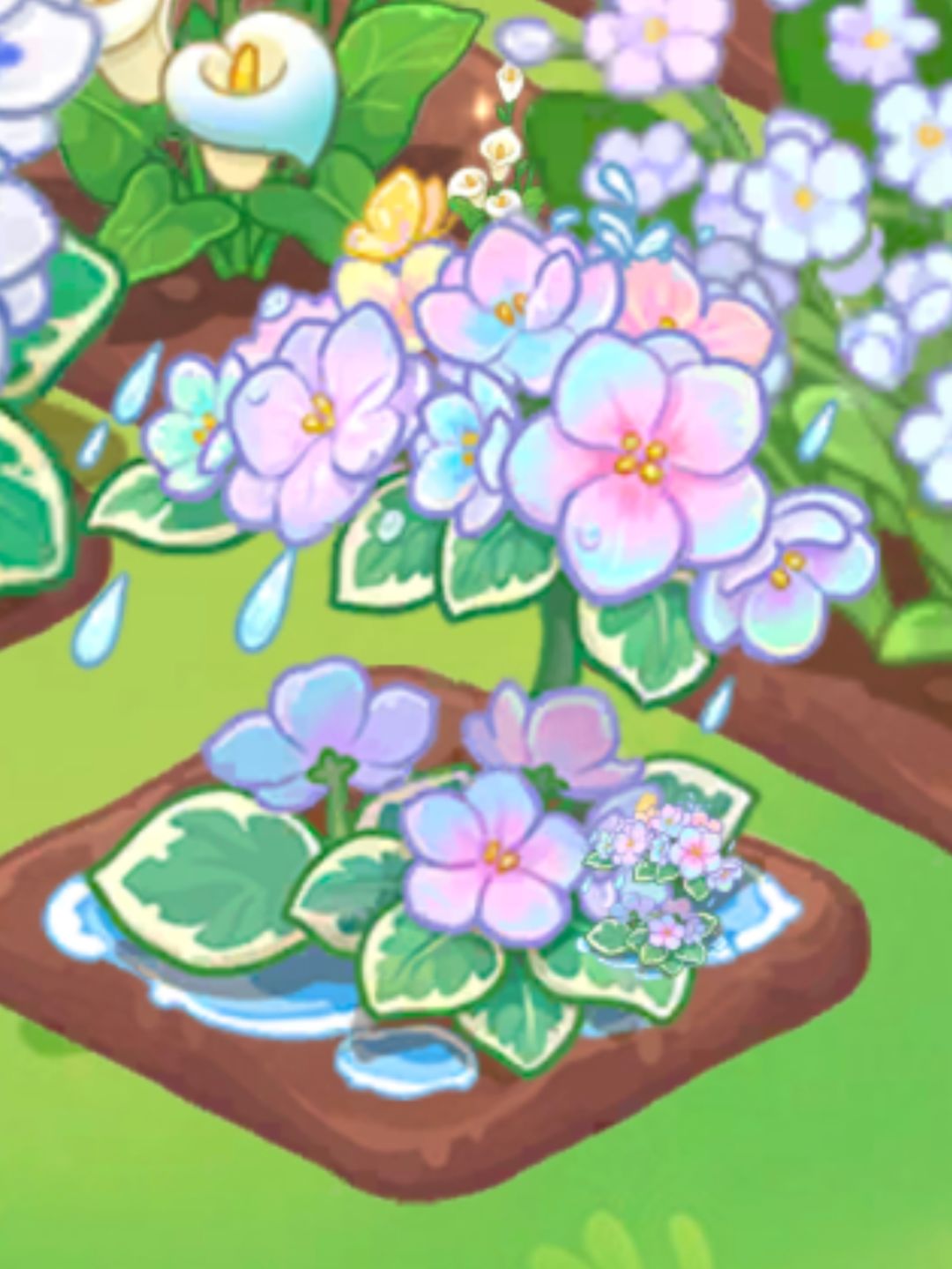 魔力植物种子偷取技巧 1
