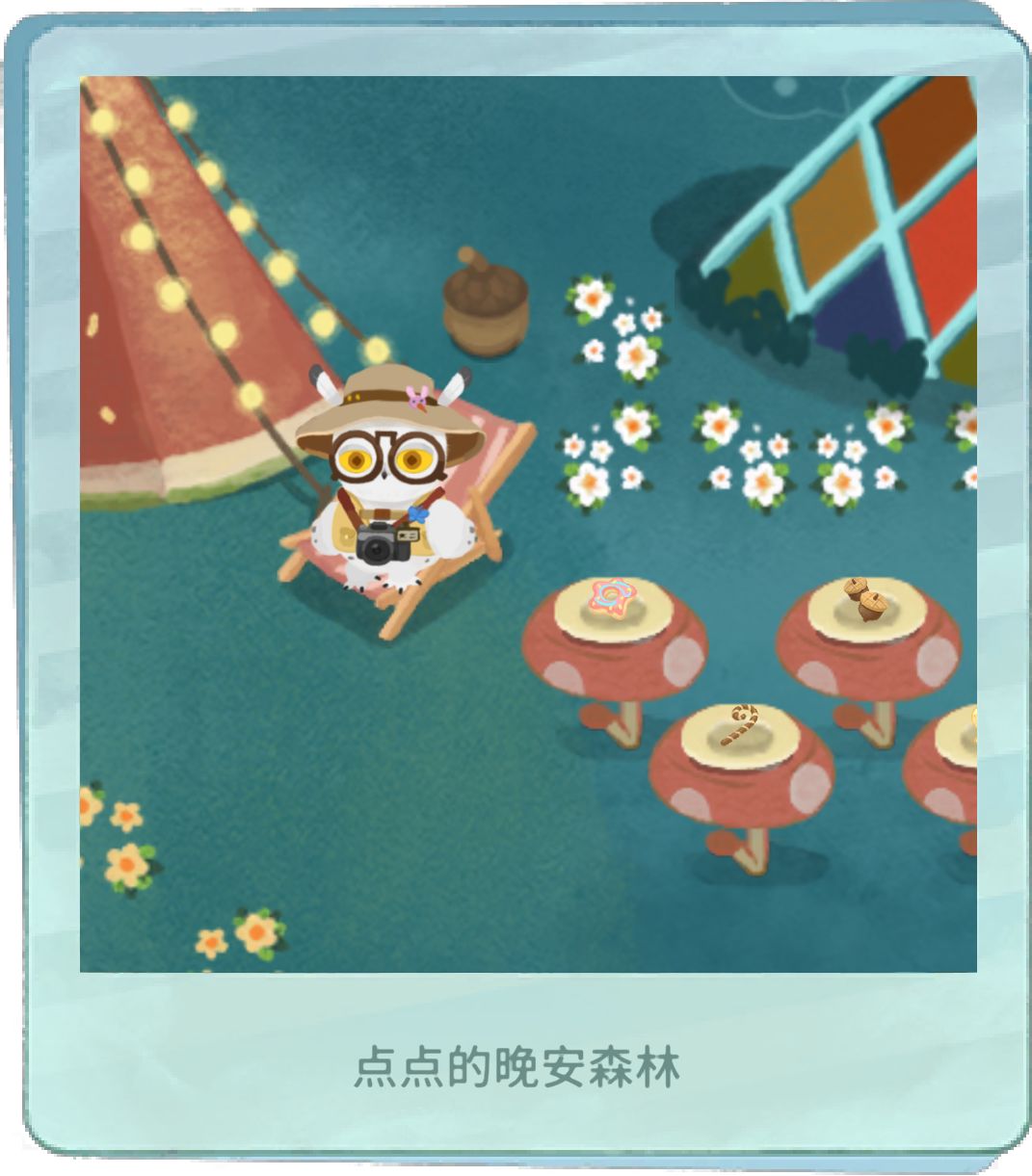 在晚安森林里拾取的生活瞬间 4