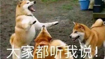 尘封的意义（对我来说）