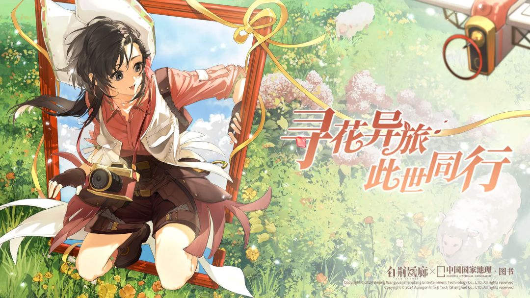 【白荆纪录】岑樱限定池出货一览 1