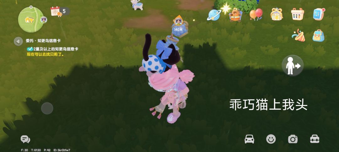 粘人精的猫咪🐱 1