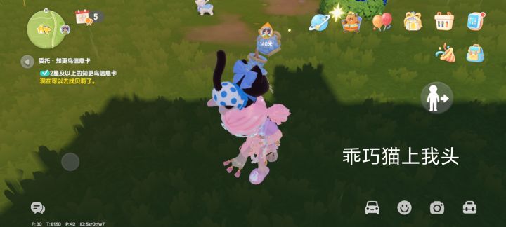 粘人精的猫咪🐱截图