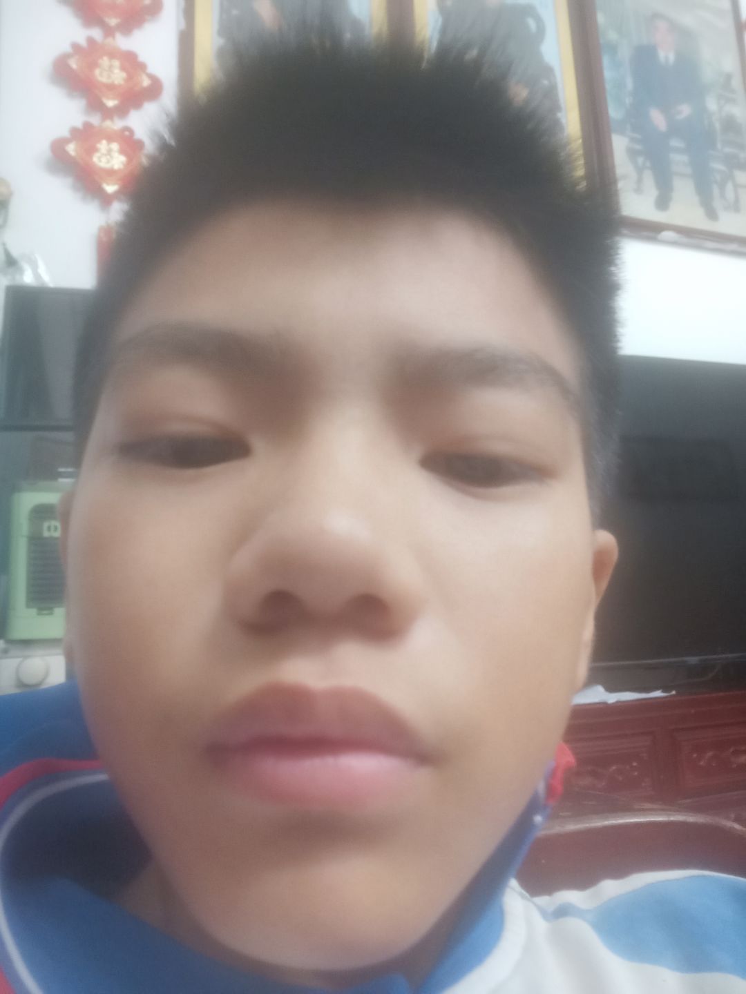 泽桐 11